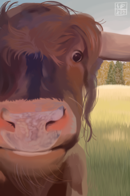 Cow