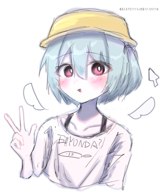 風呂入るプロファイル