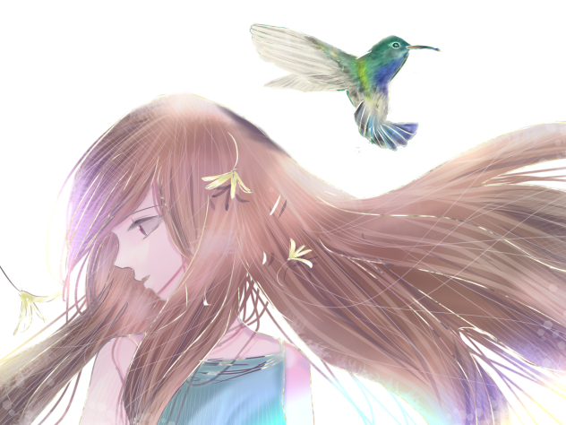 hummingbird