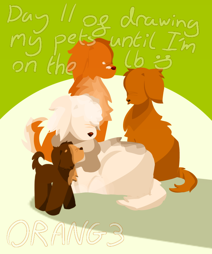Day 11 of drawing my pets! - ibisPaint