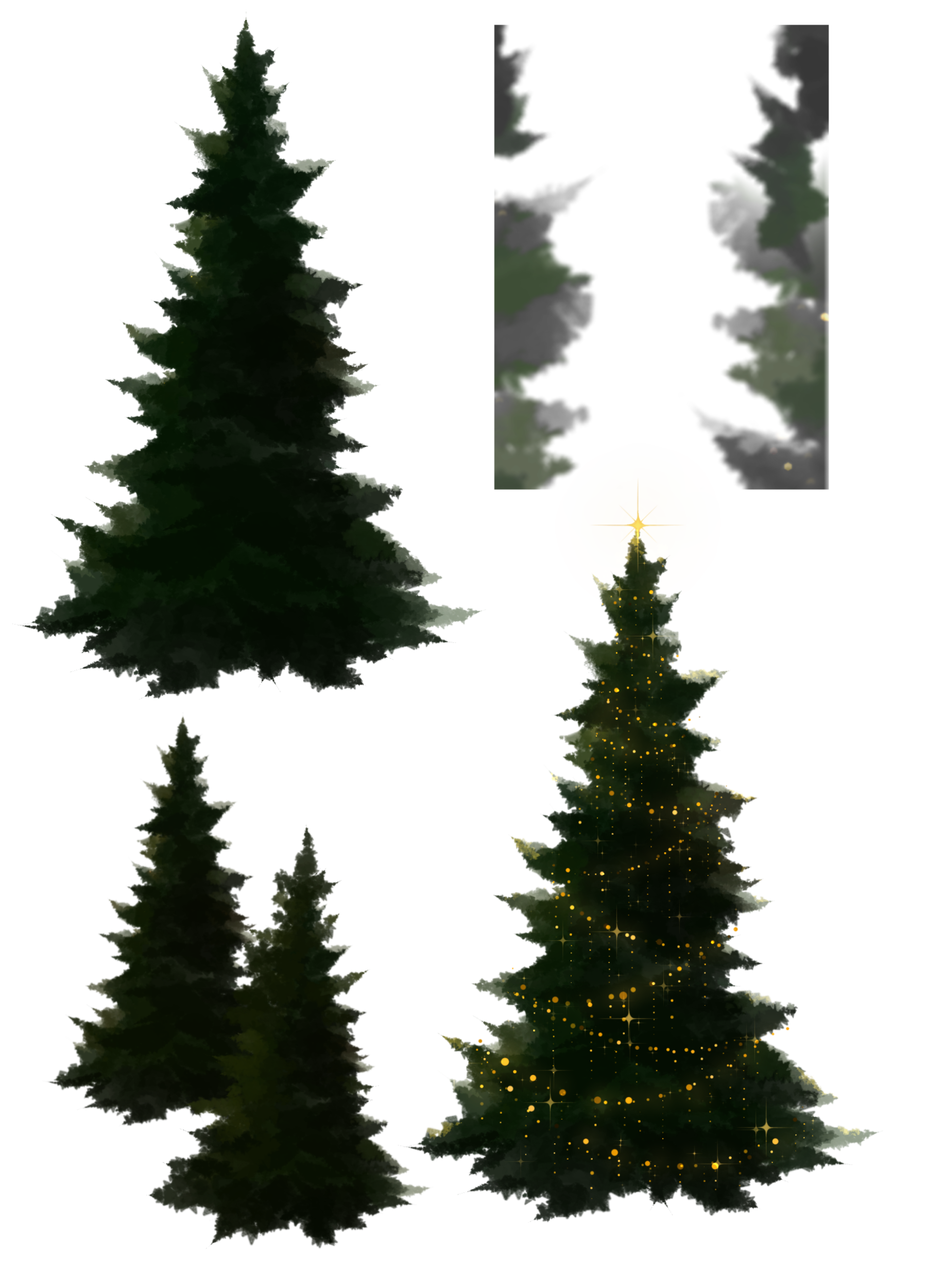 Evergreen Tree - ibisPaint