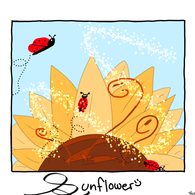 Sunflower Pic