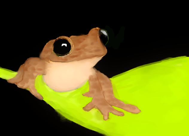 Froggie the frog 💚💚