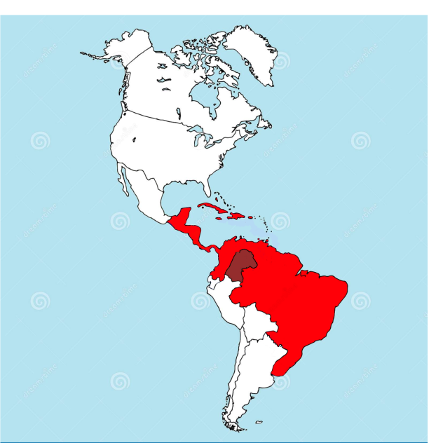 what if brazil made an empire