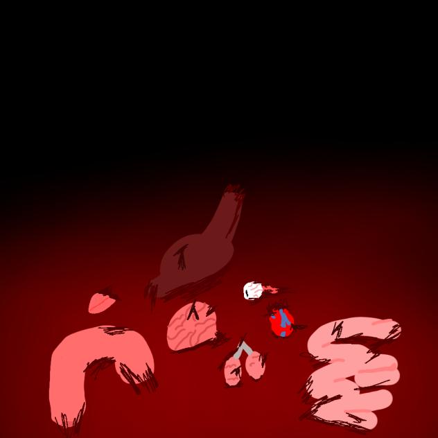 how to draw organs 1st step