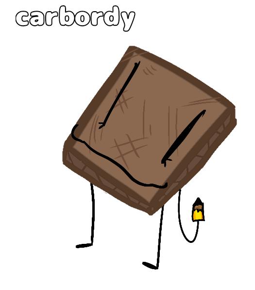 carbordy
