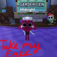 I WISH I COULD PUT SOUND IN IT