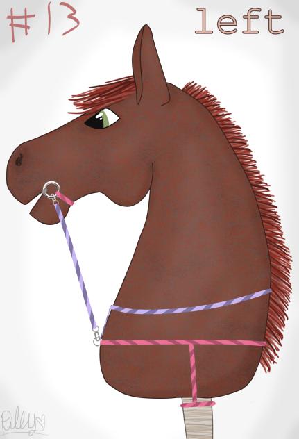 hobby horse tack #13