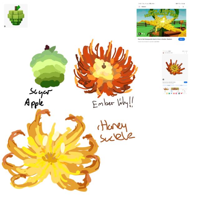 Crops that I drew