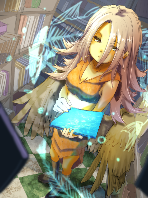 本と魚