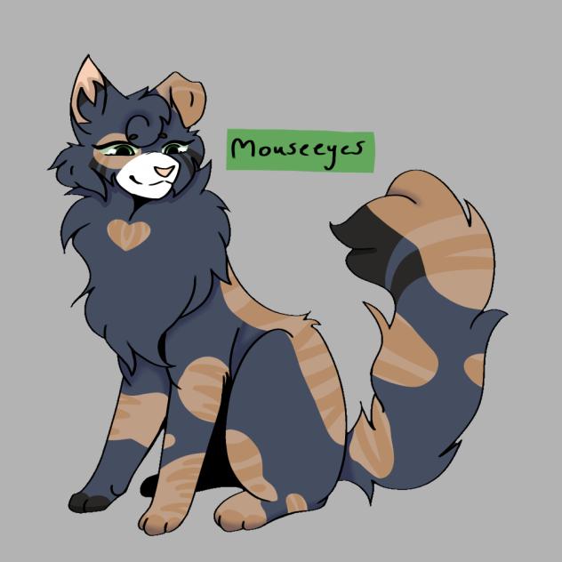 Mouseeyes