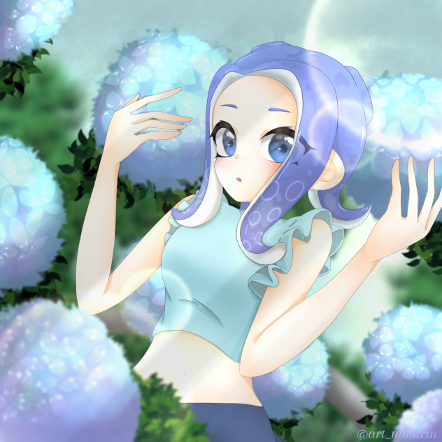 紫陽花