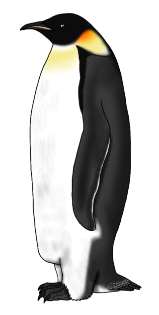 Emperor Penguin render