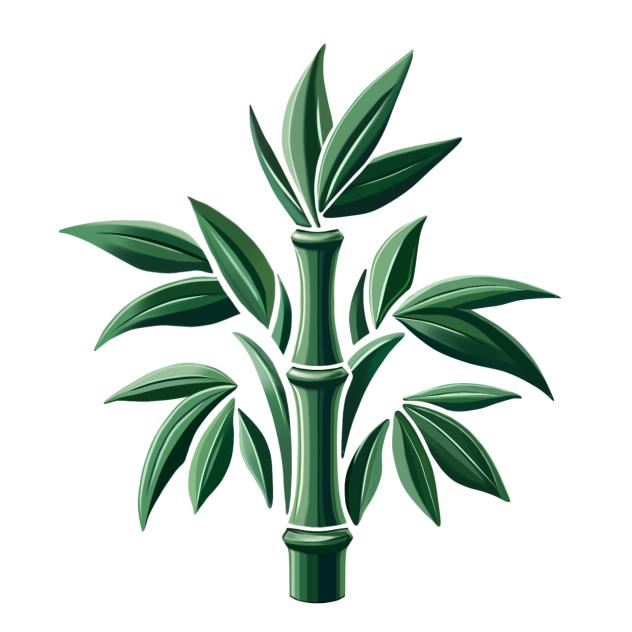 bamboo plant 1