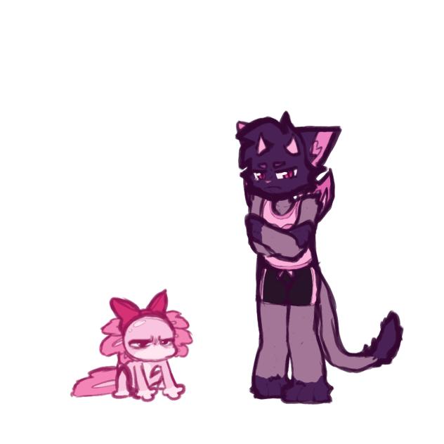 A little trip to the groomers 🥰