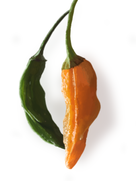 Peppers
