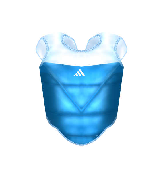 Body Protecktor