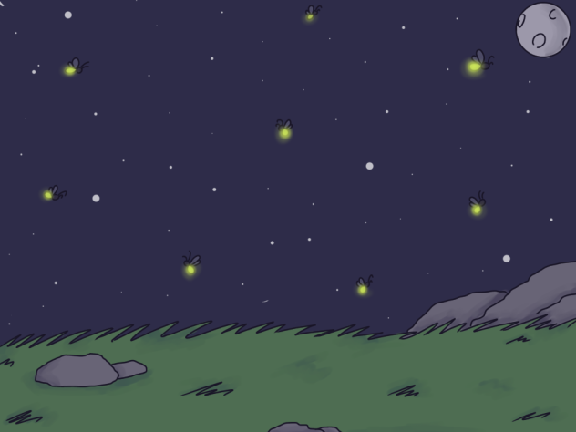 Night
