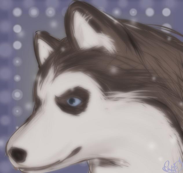 🐾チョビ🐾
