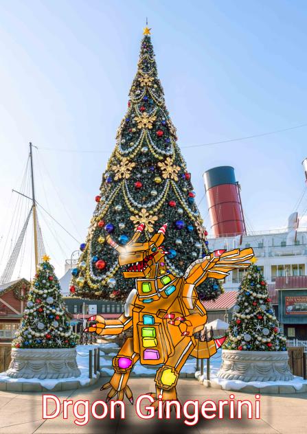 Drgon Gingerini(ドラゴンジンジャリーニ)