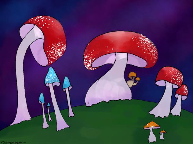 MUSHROOMS