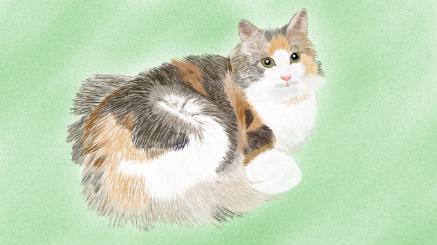 花音（かのん）