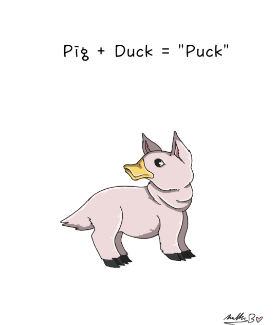 I Made a New Hybrid!🦆🐷