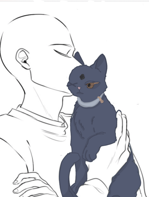 Colab(owner and cat)