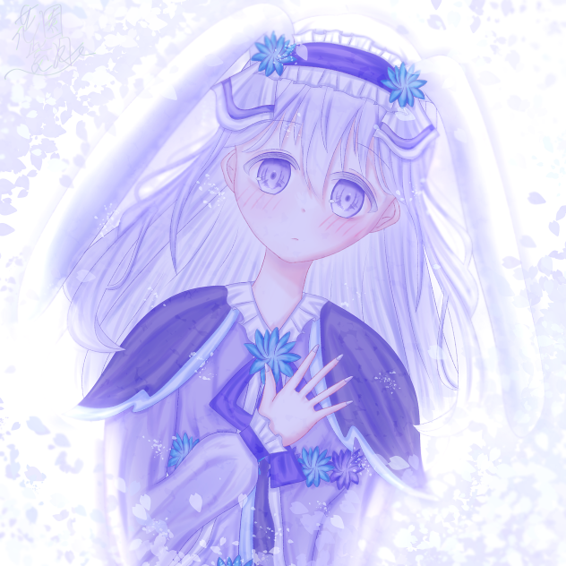 紫卯