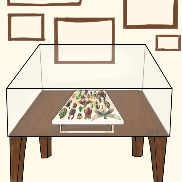 Insects