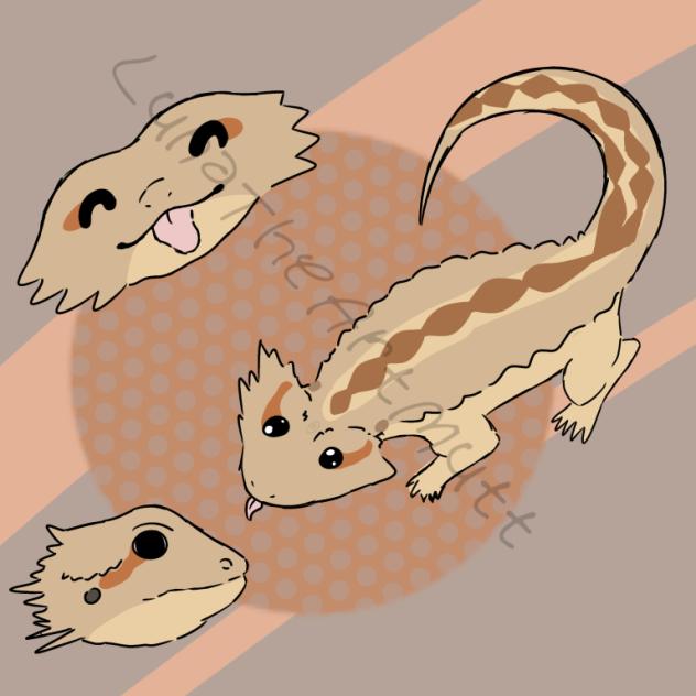 Beardie