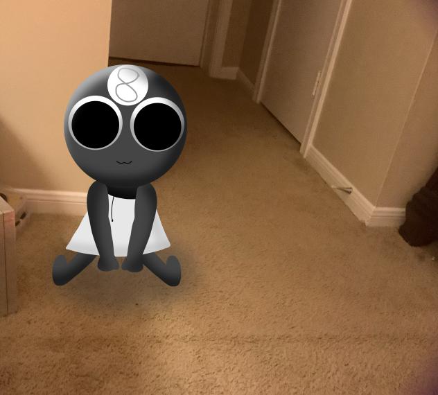 Toodles siting in my bedroom 😊