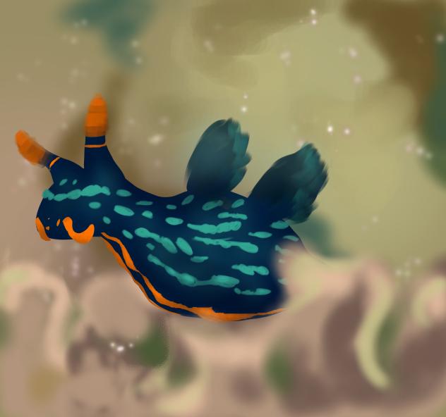 Sea Slug 1