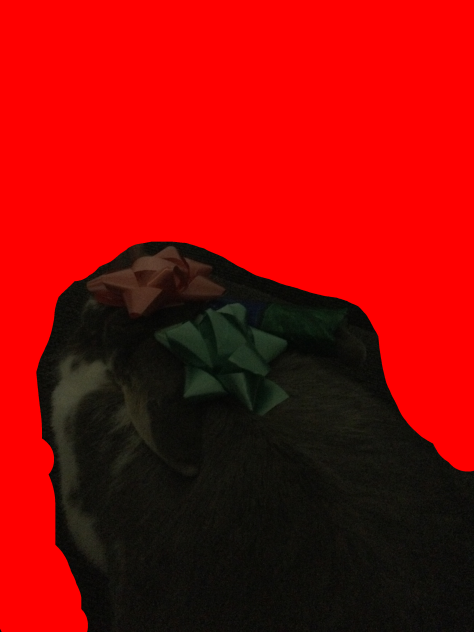 Ribbon Jamal