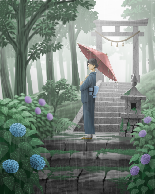 雨の森の散歩道