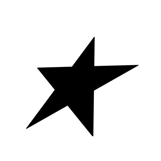 Y2K Icon Star 2a