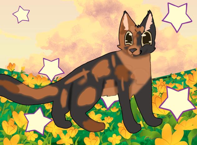 Warrior cat oc