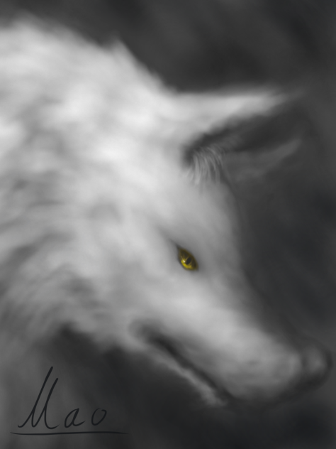 Wolf - ibisPaint