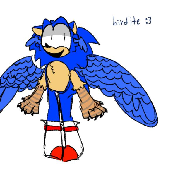 silly birdie