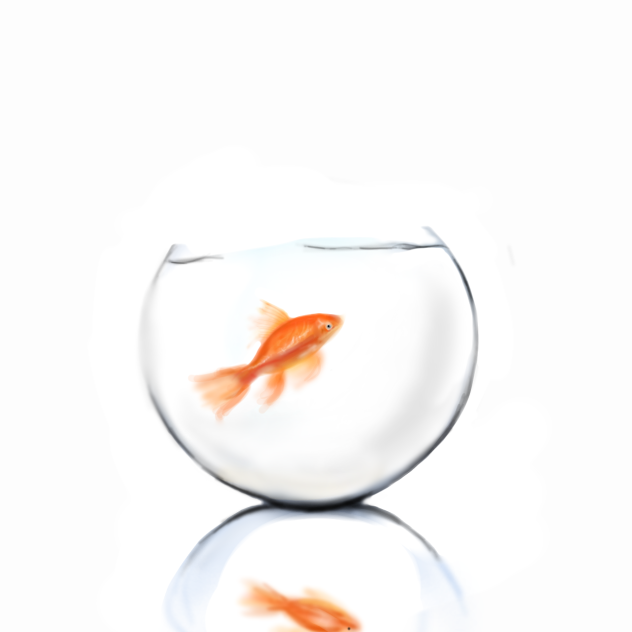 fish - ibisPaint