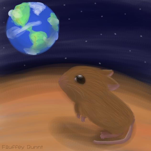 Mouse on Venus