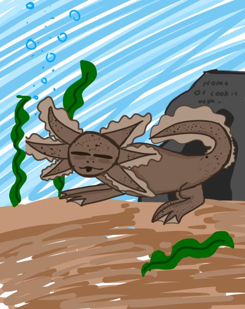 cookie dough my axolotl for comic