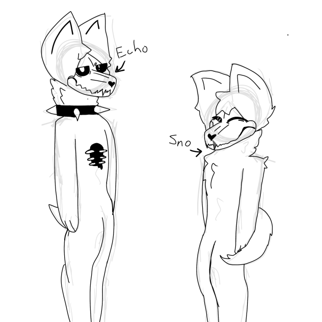 Doodles