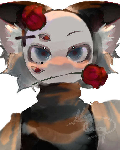 kizz=3