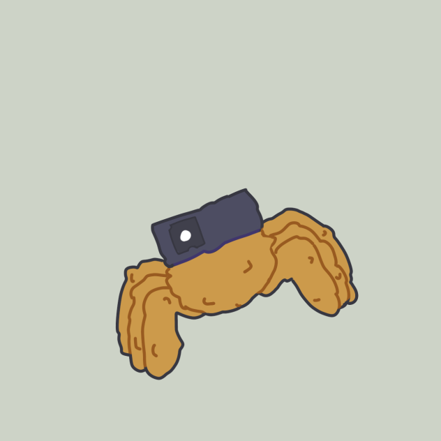 🛡️FLUFFY SHIELD WEBBER REAL 🕸️