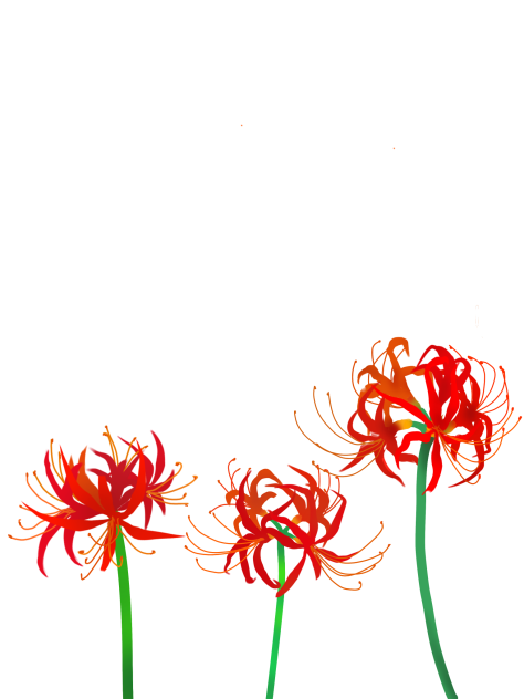 素材 彼岸花描いてみた。