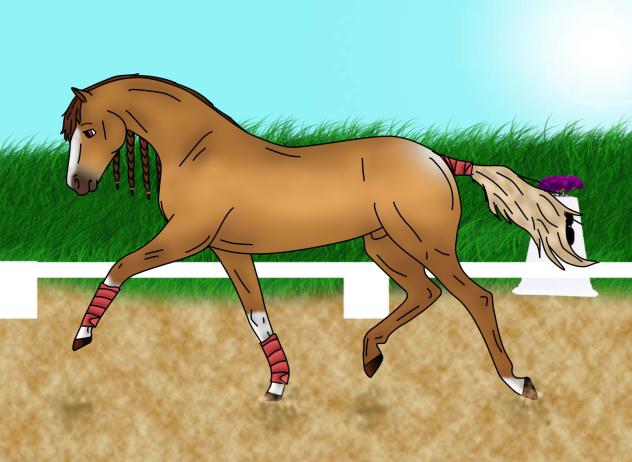 luminous trying to do a extended trot ha