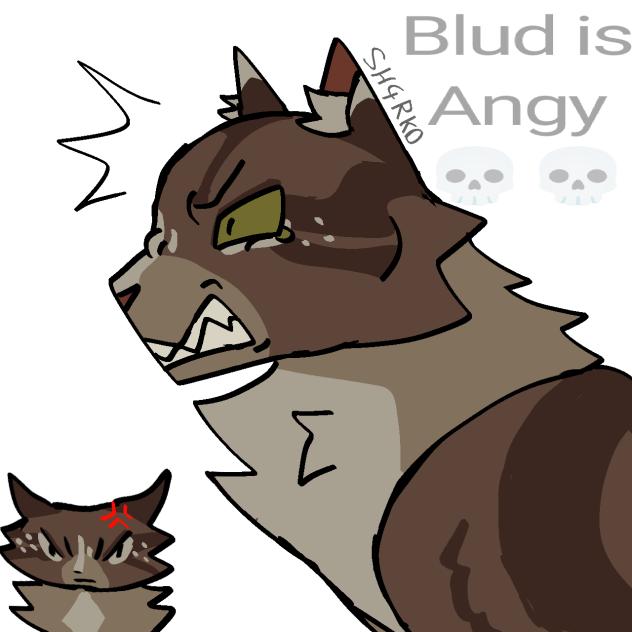 Snake'Whisker, but Angy, Warrior cats oc