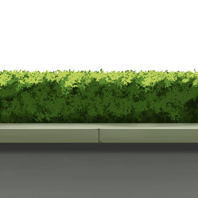 Hedge C