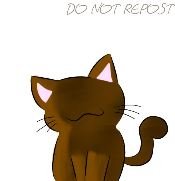 My Cat